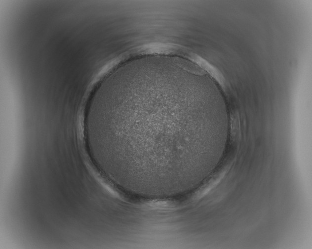 X0000113040581200909031313