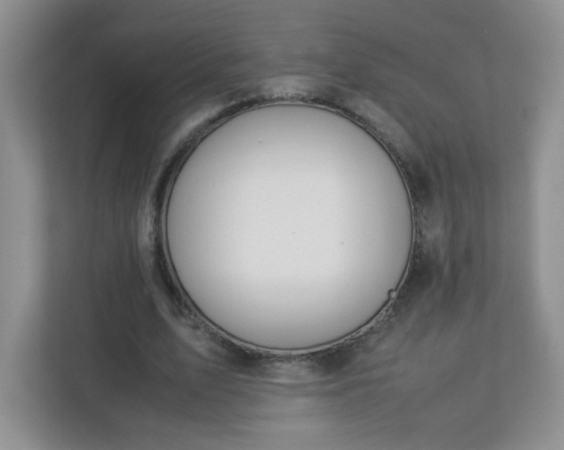 X0000113040583200909031313