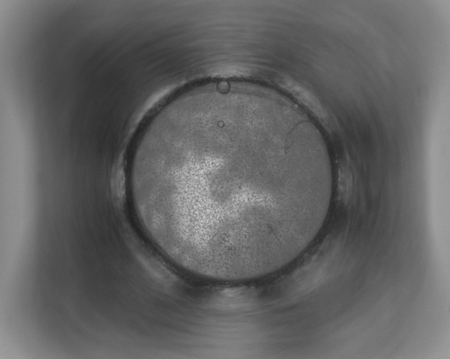 X0000113040584200909031313