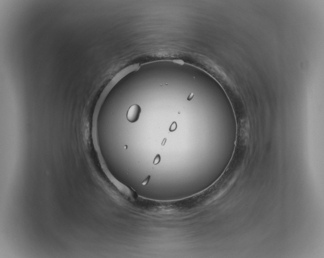 X0000113040589200909031313