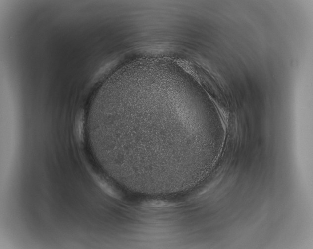 X0000113040590200909031313