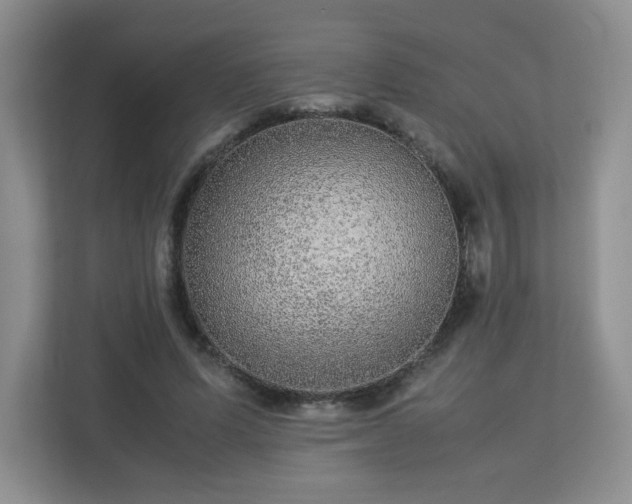 X0000113040591200909031313