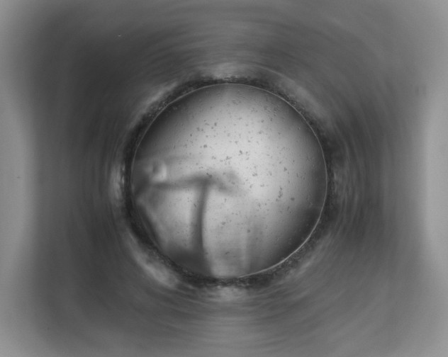 X0000113040592200909031313