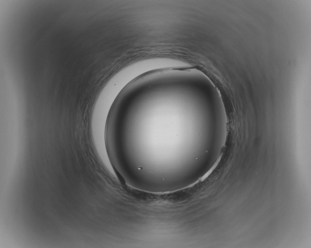 X0000113040593200909031313