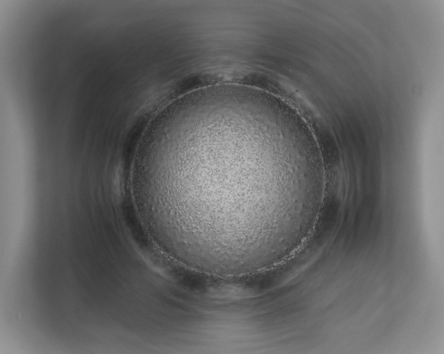 X0000113040594200909031313