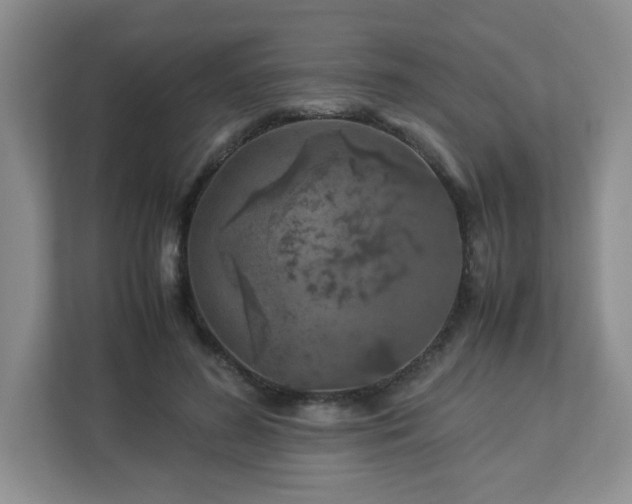 X0000113040596200909031313