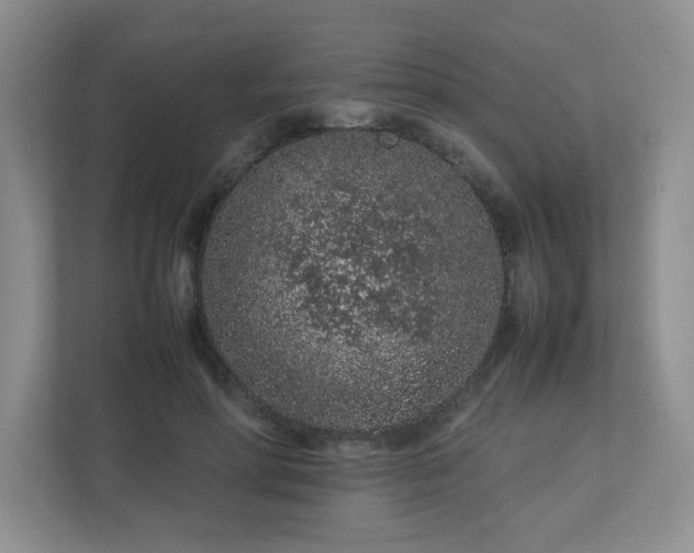 X0000113040598200909031313