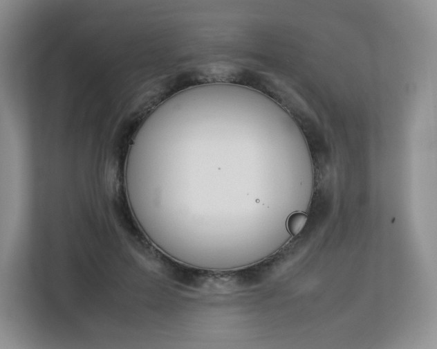 X0000113040599200909031313