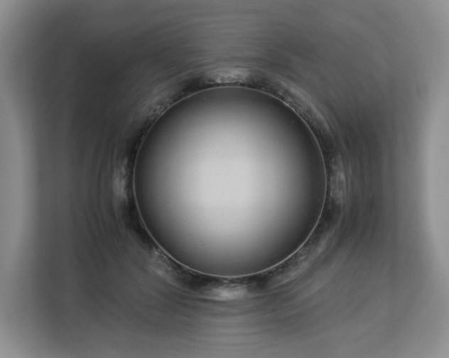 X0000113040604200909031313