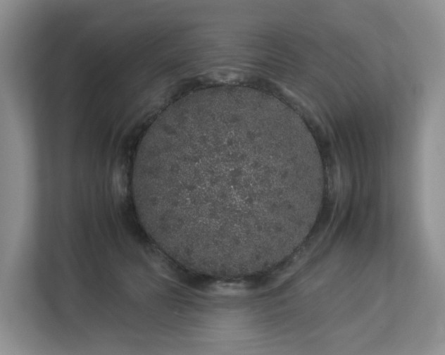 X0000113040606200909031313