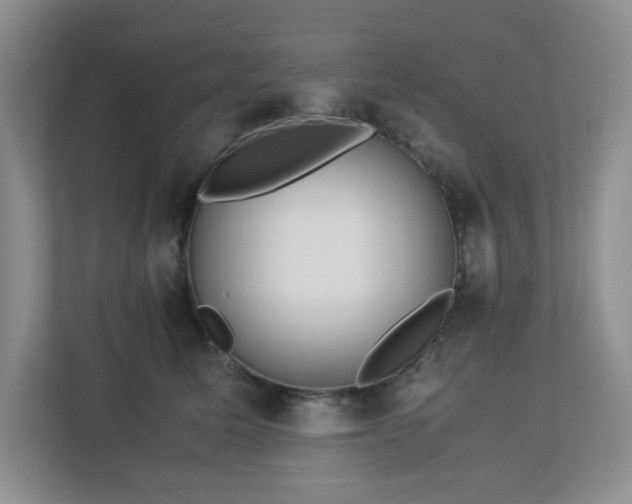 X0000113040611200909031313