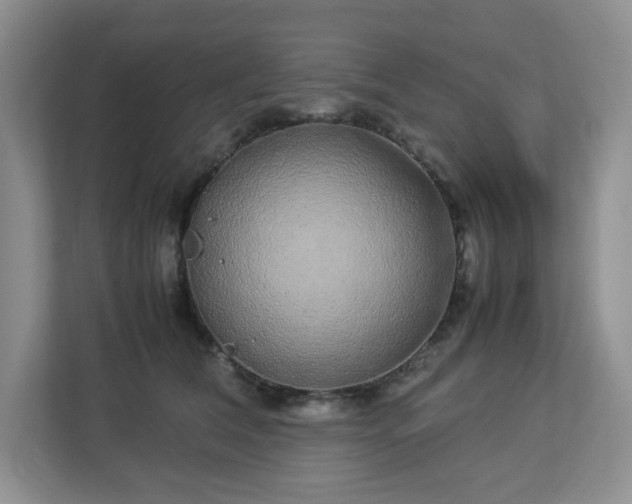 X0000113040612200909031313