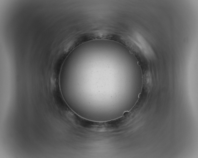 X0000113040615200909031313