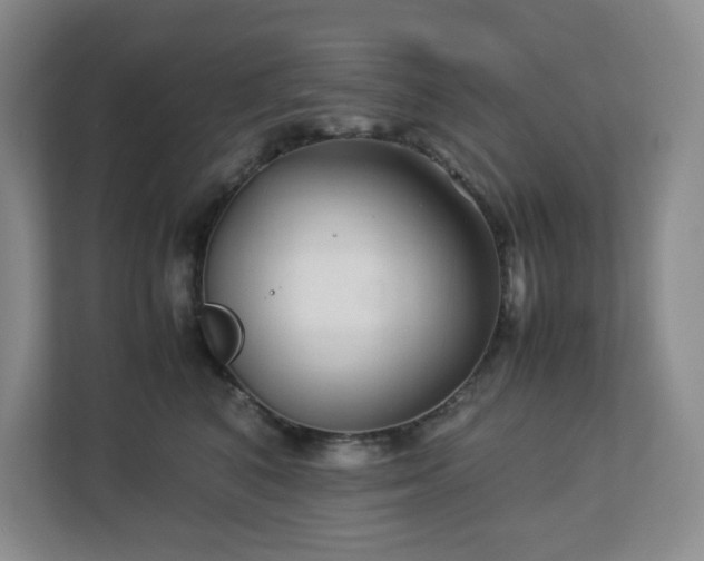 X0000113040616200909031313