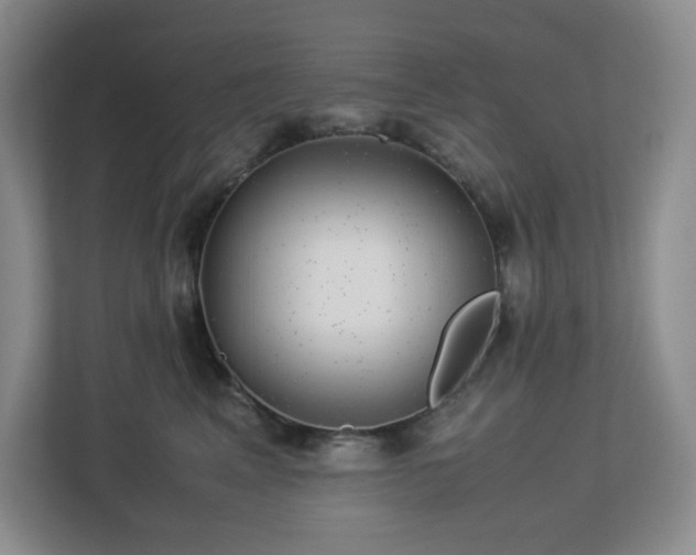 X0000113040617200909031313