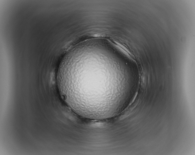 X0000113040620200909031313