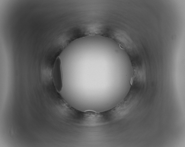 X0000113040621200909031313