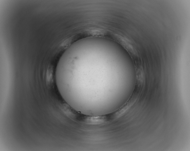 X0000113040622200909031313