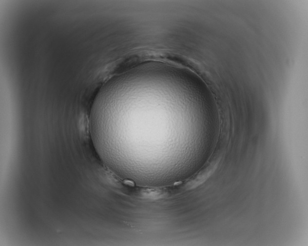 X0000113040624200909031313