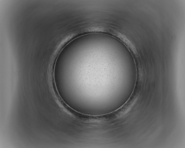 X0000113040625200909031312