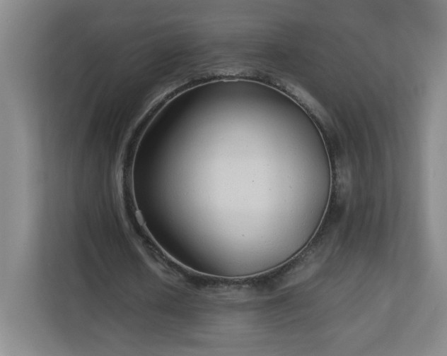 X0000113040626200909031312