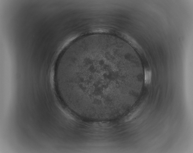 X0000113040627200909031312