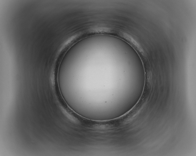 X0000113040629200909031312