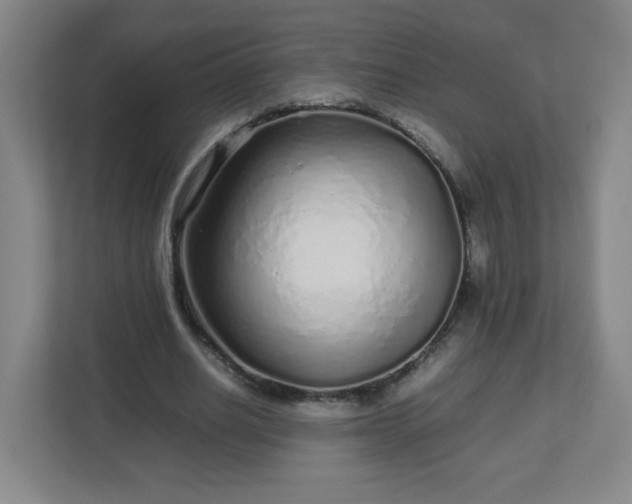 X0000113040630200909031312