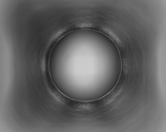 X0000113040631200909031312