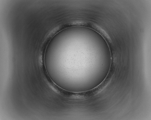 X0000113040633200909031312