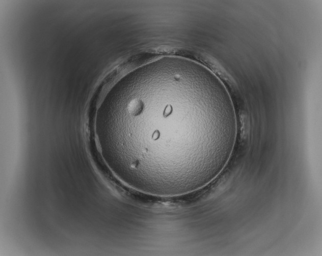 X0000113040634200909031312