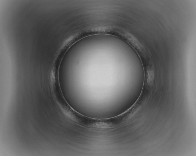 X0000113040636200909031312