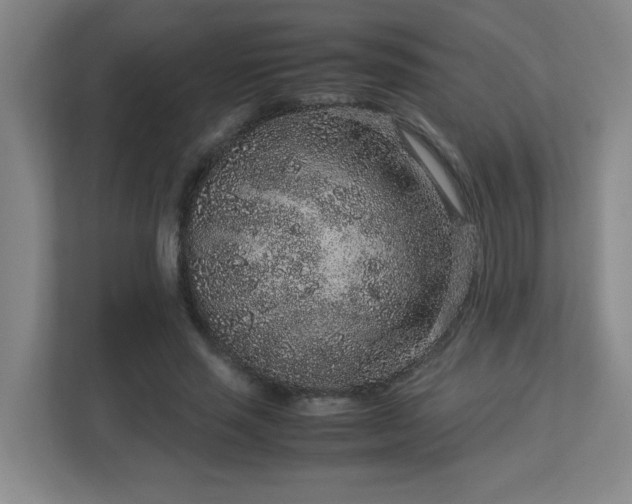 X0000113040637200909031312