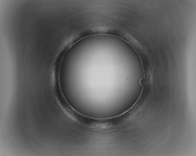 X0000113040638200909031312