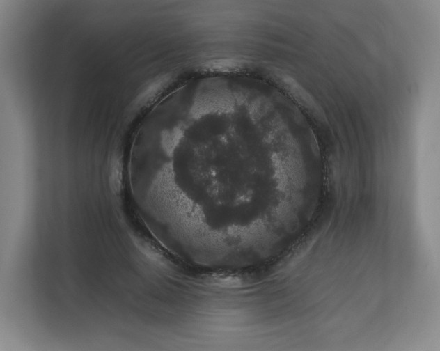 X0000113040640200909031312