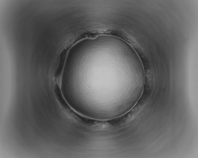 X0000113040642200909031312