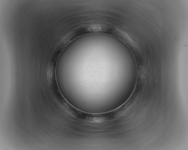 X0000113040645200909031313