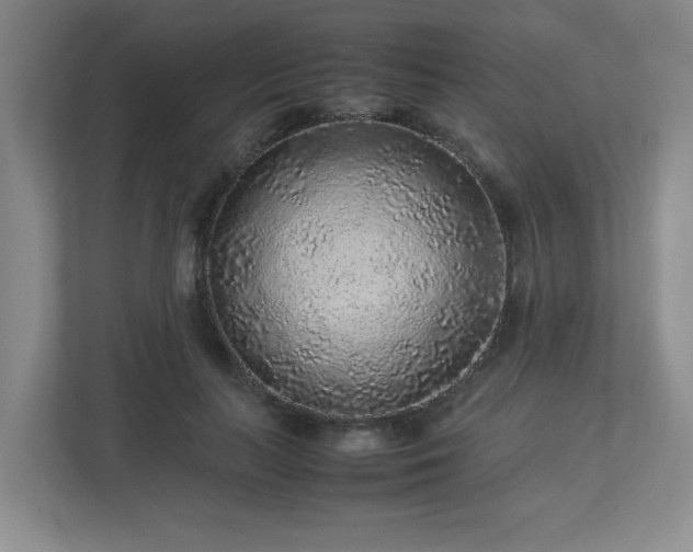 X0000113040647200909031313