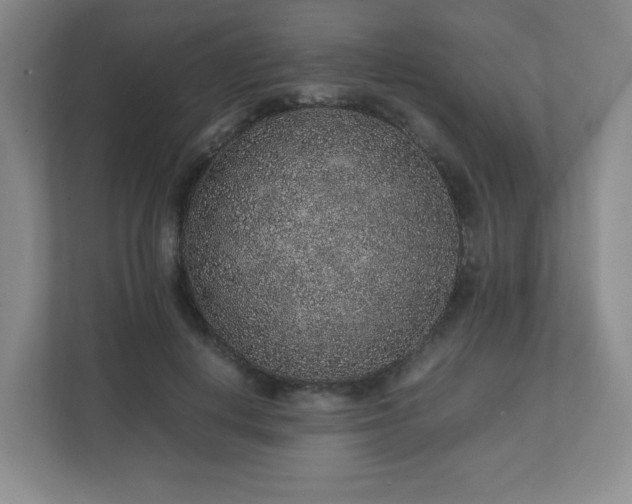 X0000113040648200909031313