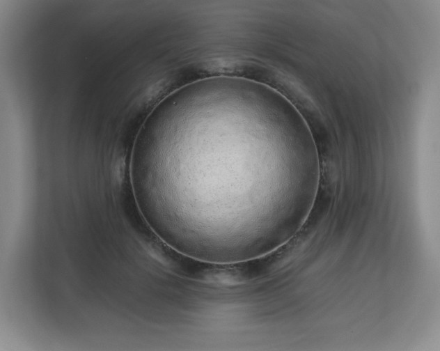 X0000113040652200909031313