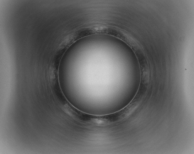 X0000113040654200909031313