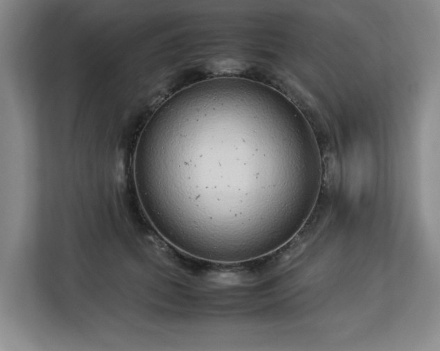 X0000113040655200909031313