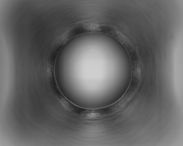 X0000113040658200909031313