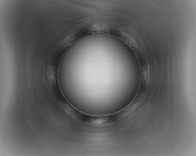 X0000113040662200909031313