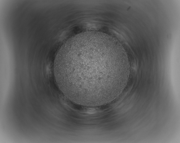 X0000113040663200909031313