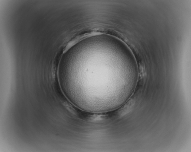 X0000113040664200909031313