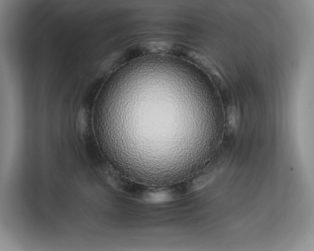 X0000113040667200909031313