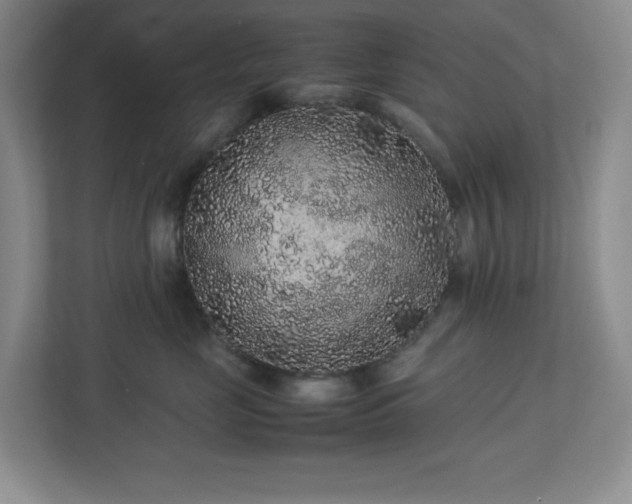 X0000113040669200909031313