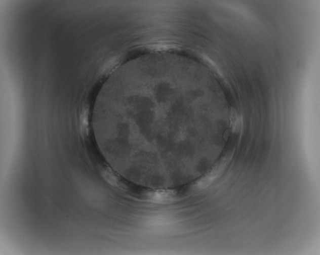 X0000113040670200909031313