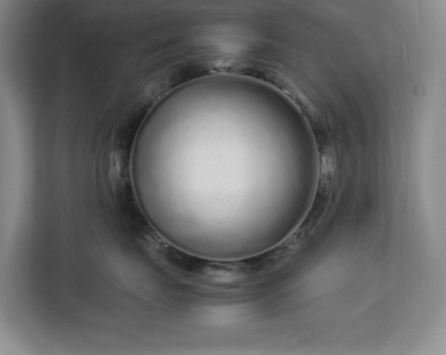 X0000113040671200909031313